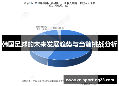 韩国足球的未来发展趋势与当前挑战分析